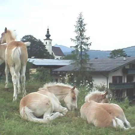 Torrenerhof Golling an der Salzach